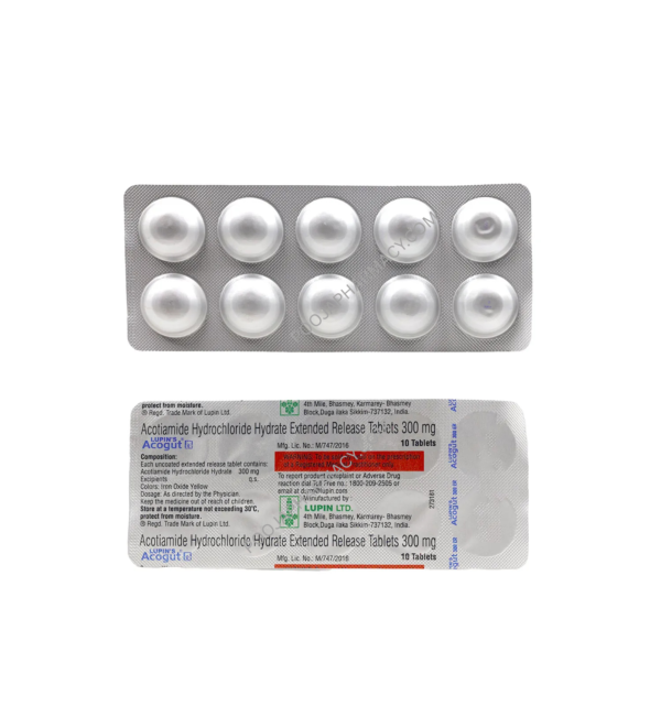 ACOGUT 300MG ER TABLET - Image 2